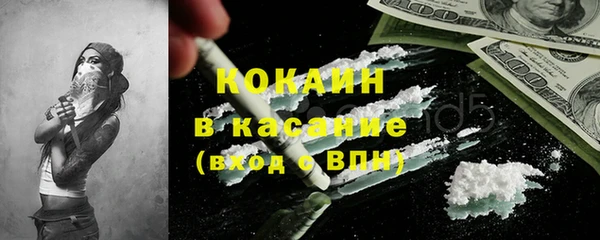 хмурый Долгопрудный