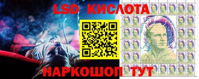 дурь Кингисепп
