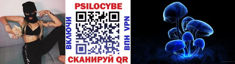 Псилоцибиновые грибы Cubensis  Шатура 